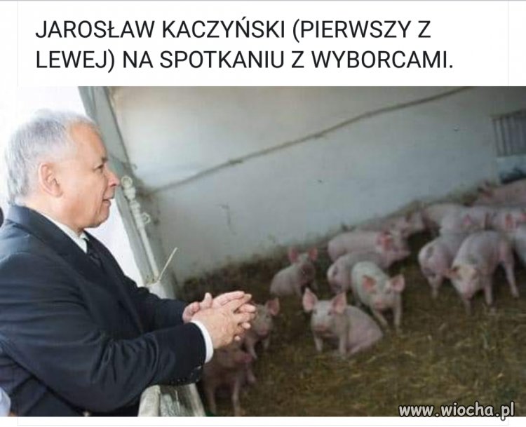 Sam wśród swoich