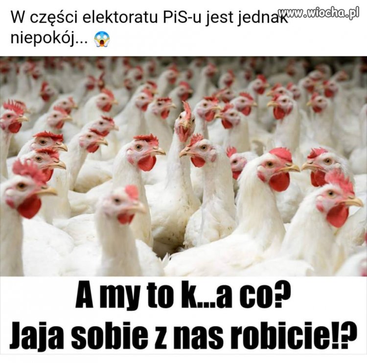 A prezes znów dzieli na lepszy sort