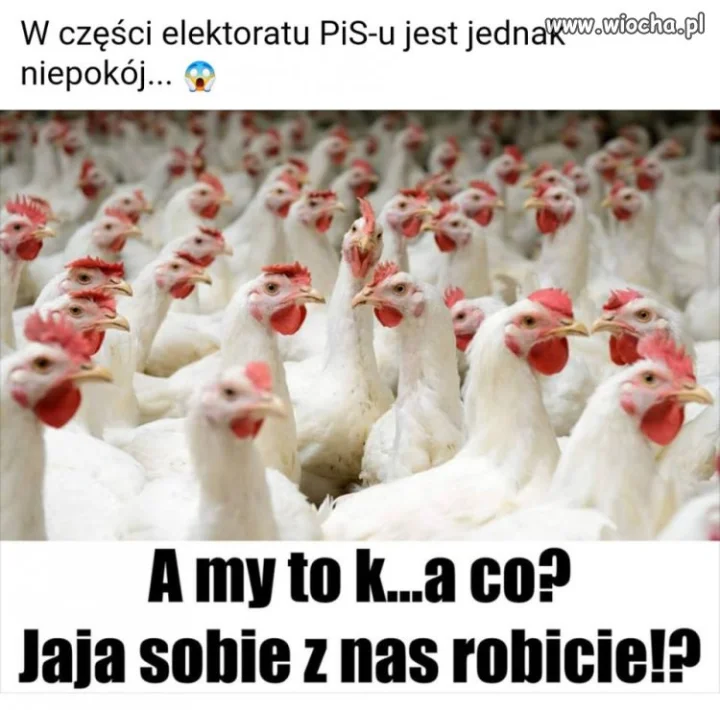 A prezes znów dzieli na lepszy sort