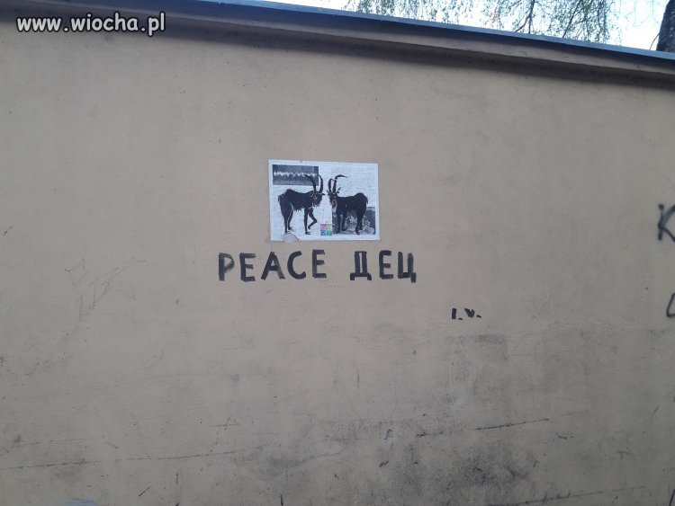 Peace