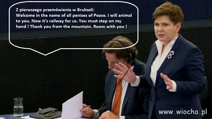 Szykując się do Brukseli