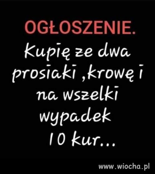 Poszukiwania