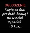 Poszukiwania