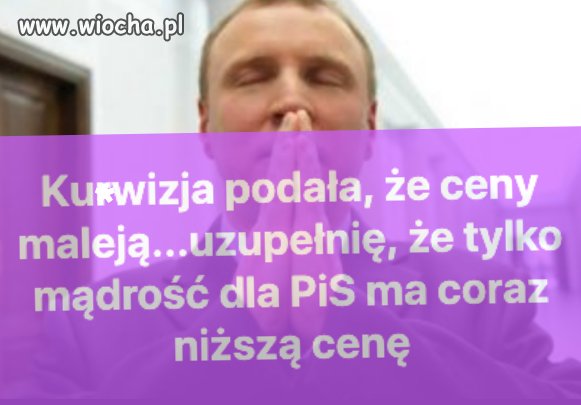Kurwizja