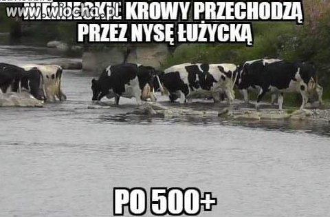 Imigracja z zachodu