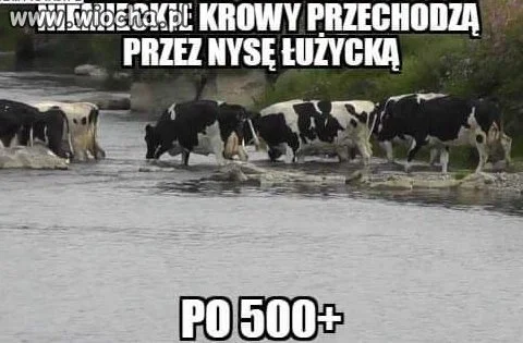 Imigracja z zachodu