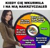 Koło