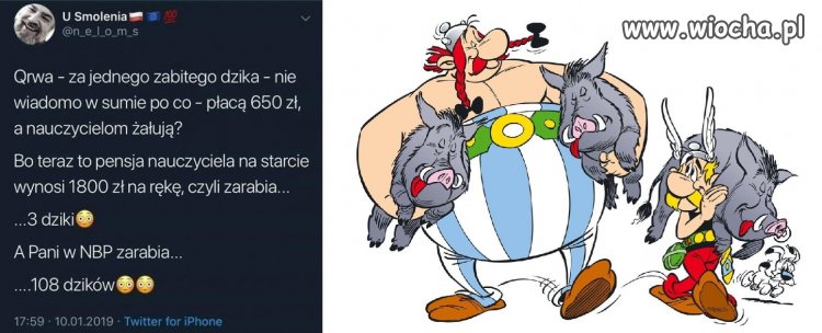 Dzik 650zł a świnia tylko 100zł?