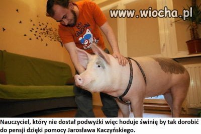 Nauczyciele