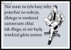 Tani wyjazd 