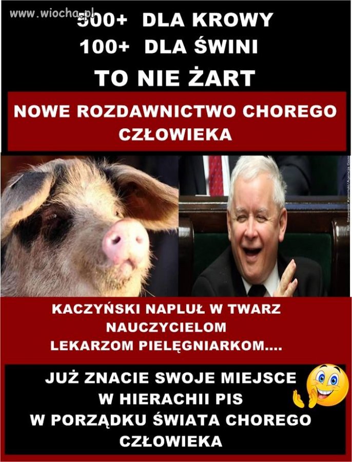 Niech rozdaje tak dalej