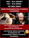 Niech rozdaje tak dalej
