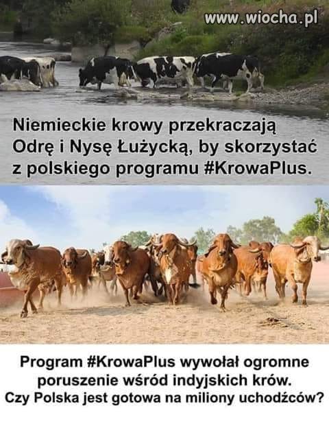 Może być