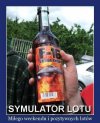 Symulator