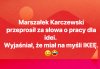 Praca dla Ikei