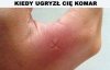 Przyznać się! Kto tak robił?