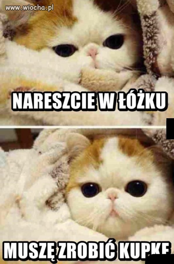Kiedy się położysz 