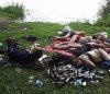 Ostry wypoczynek na łonie natury