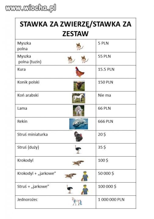 Tymczasem 