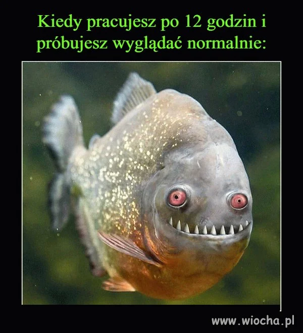 Taka prawda