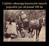 Ci przeklęci rowerzyści