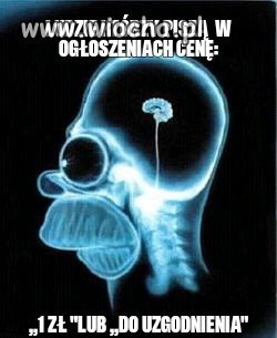 Brak mózgu 