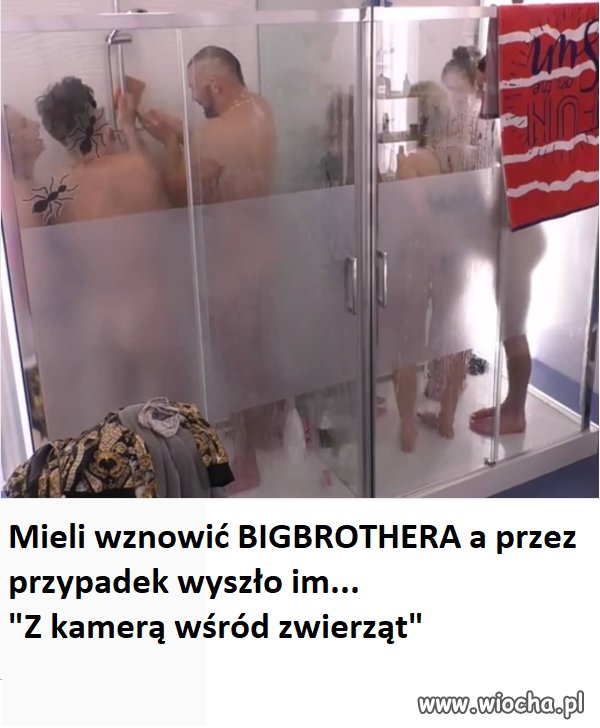 Tymczasem w telewizji