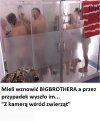 Tymczasem w telewizji