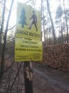 Wycinka cały rok i jest na 500+
