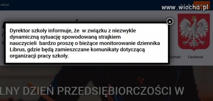 Kiedy poloniści strajkują