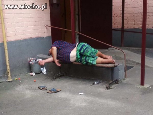 Pierwsza świnia już dosłała 100+