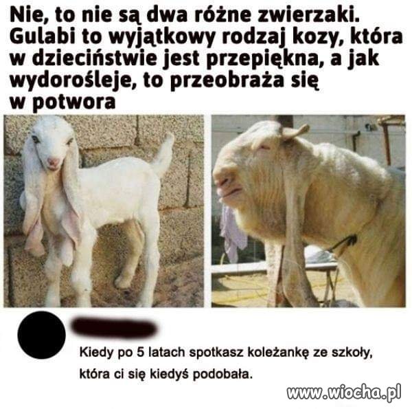 Korzystaj póki czas 