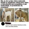 Korzystaj póki czas 