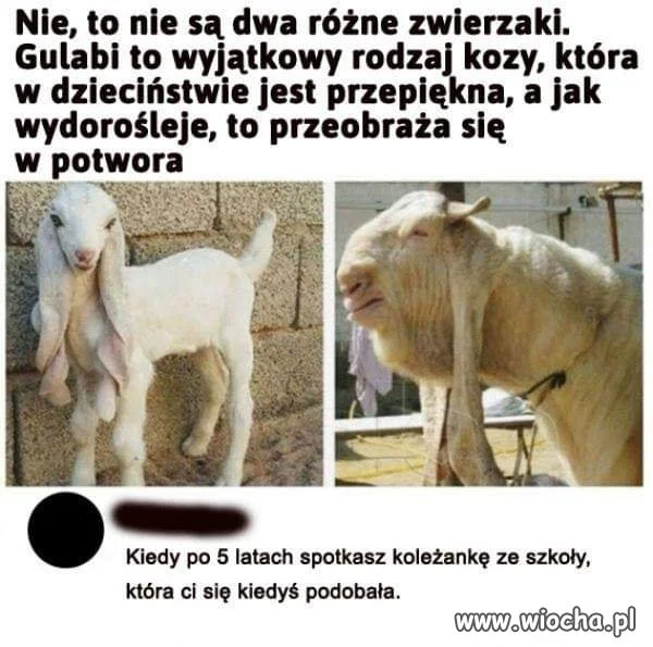 Korzystaj póki czas 