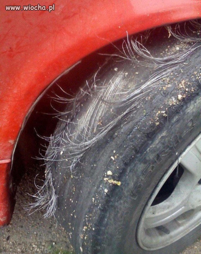 Horror !!!