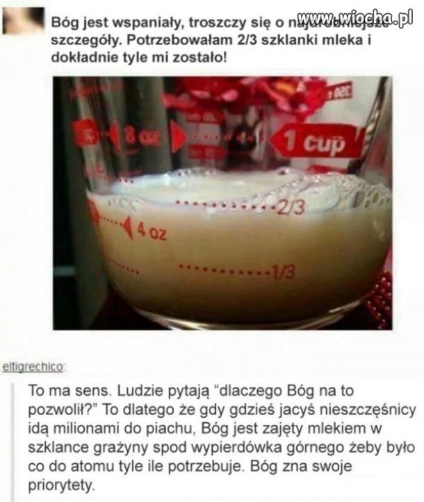 Katolicy.