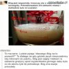 Katolicy.