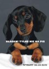 Te błagające spojrzenie