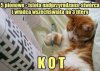 Jarku!!!