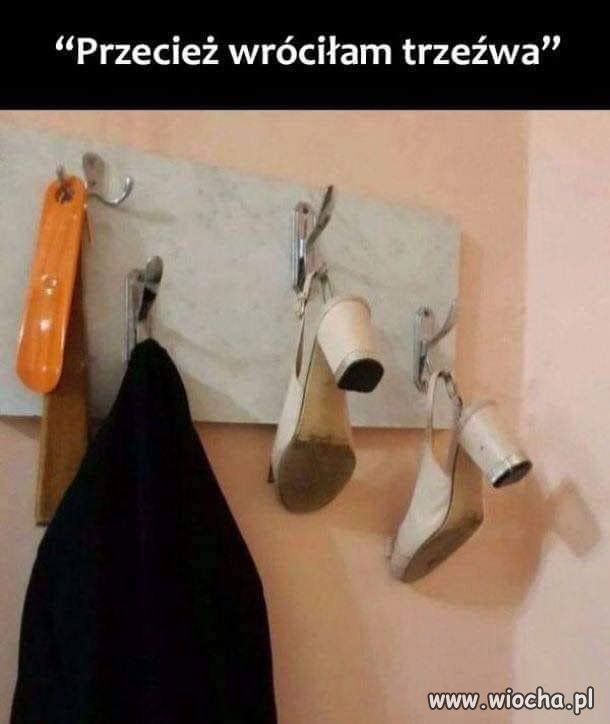 Każdy widział