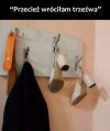 Każdy widział