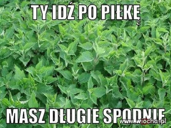 Tak było