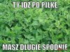 Tak było
