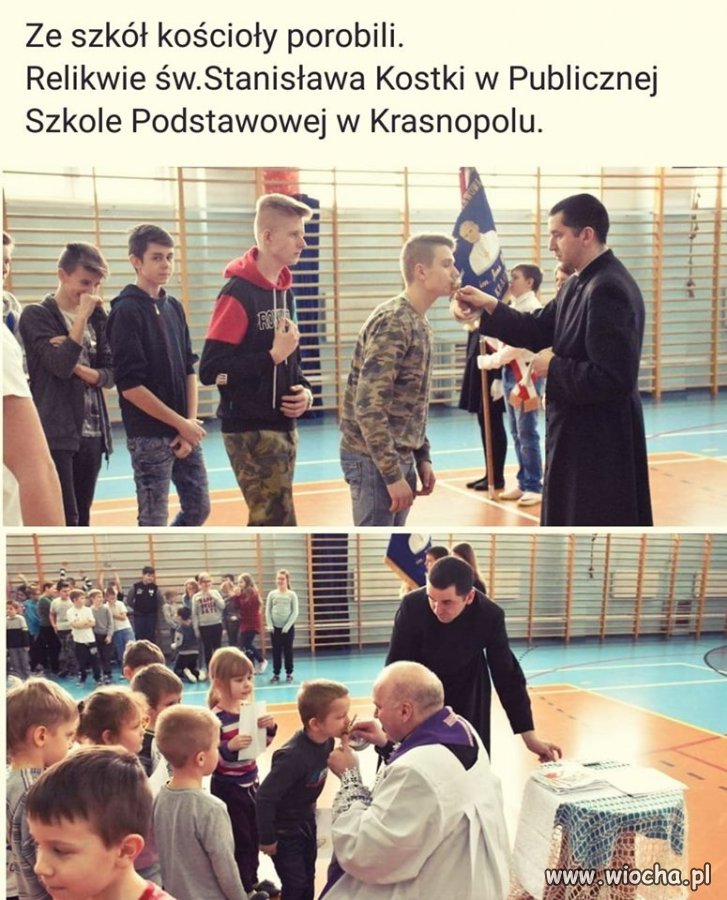 Wk*rw w narodzie narasta. A te debile ciągle swoje