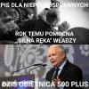 Pis się łapie za szprychy wózka inwalidzkiego...