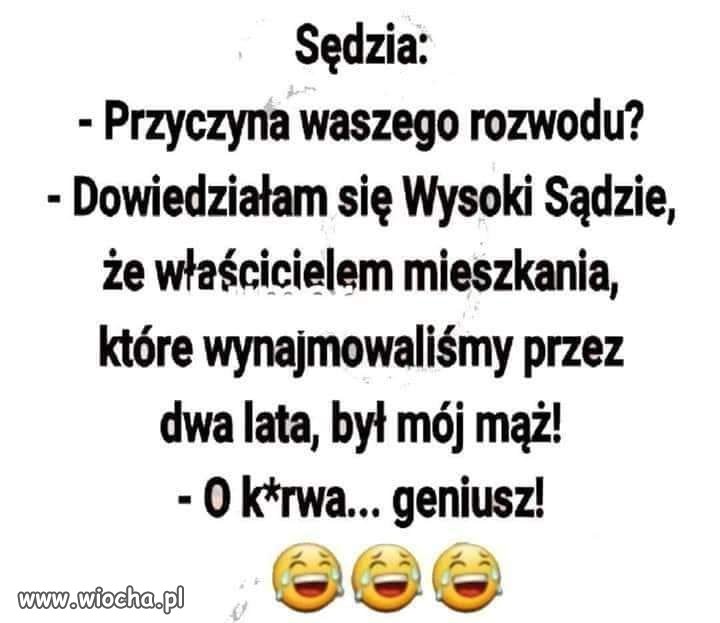 No... geniusz.