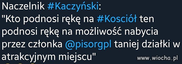 Naczelnik Kaczyński