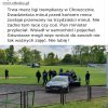 Tymczasem 
