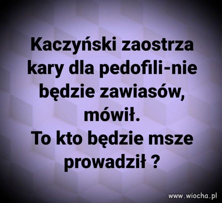 Przysposobią Zero i Jojo i transmisja w Trwam...