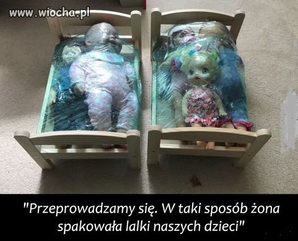 Domowy 